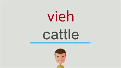 Die spanische erstausstrahlung der serie erfolgte ab dem 2. Wie heißt vieh auf englisch - YouTube