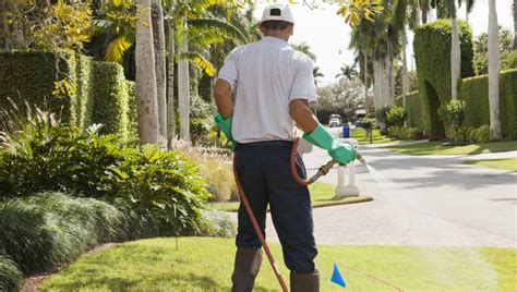 Search lawn care do it yourself. Lawn Maintenance Guide - Green Earth Pest Control