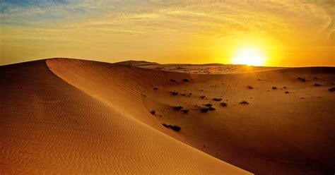 Dubai Sunrise Desert Jeep Safari With Wildlife Getyourguide