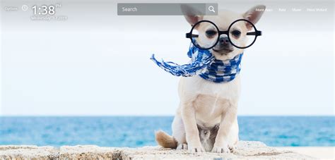 Cute Dogs Hd Wallpapers Theme Chrome Extension Chrome