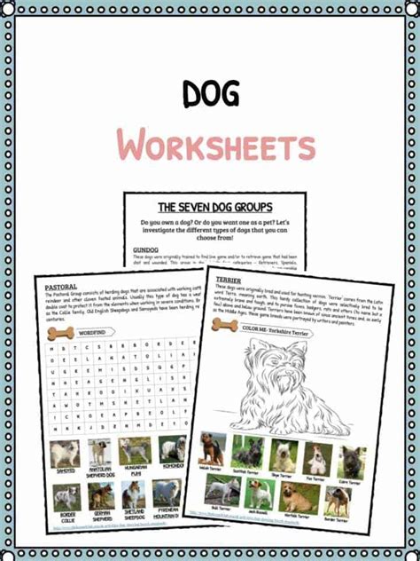 Dog Facts And Worksheets For Kids Includes Lesson Plans And Study Material