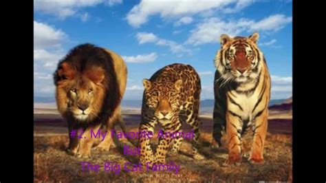 Top 10 ZOO animals - YouTube