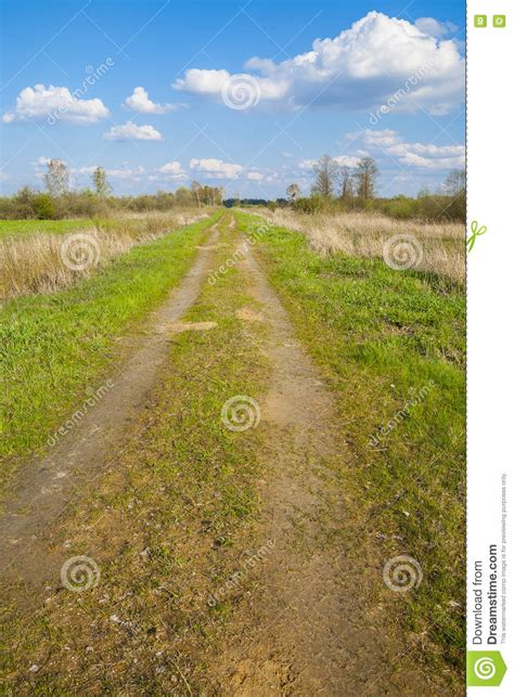 Dirt Gravel Road Through The Meadow Stock Photo Image Of Meadow