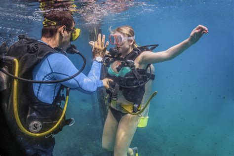 How To Scuba Dive The Puerto Vallarta Way Vallarta Adventures Free Hot Nude Porn Pic Gallery