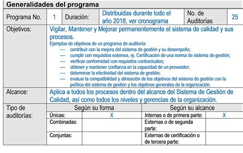 Plan De Auditorias Internas De Calidad Ejemplo Opciones De Ejemplo