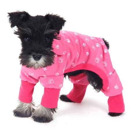 Us Shipping Only Dog Clothes Small Dog Jumpsuit Pet