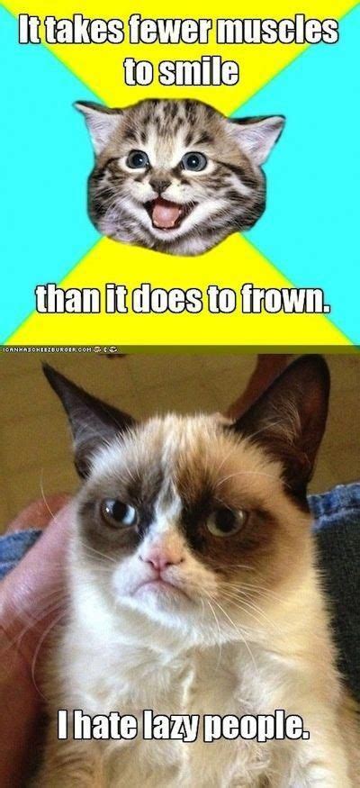 Funny Grumpy Cat Memes Clean Grumpy Cat Memes Top Funny Cats Video My