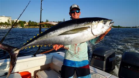 Personal Best Tuna Catch Clean Cook Bahamas Yellowfin Tuna Fishing