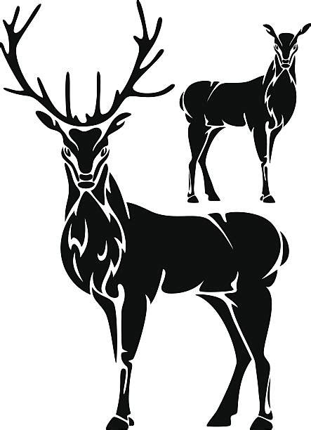 Black And White Deer Illustrations Royalty Free Vector Graphics And Clip