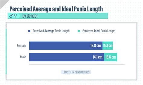 Average Vs Ideal Men And Women Reveal Perfect Penis Size Daily Star