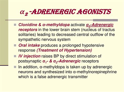Ppt Adrenergic Drugs Powerpoint Presentation Free Download Id1748493