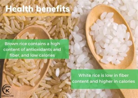 3 Key Differences Between Brown Rice And White Rice Kênh Review Mỹ Phẩm