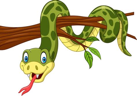 In morningside, queensland, a python was filmed swallowing a possum whole while hanging from a branch. Royalty Free Long Tongue Clip Art, Vector Images ...