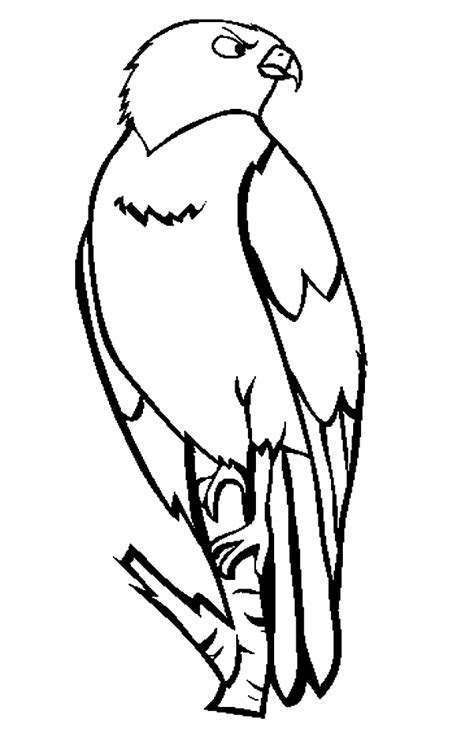 Cool falcon bird coloring pages. Hawk coloring pages to download and print for free