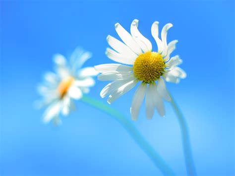 1600x1200 Windows 8 Official 1600x1200 Resolution HD 4k Wallpapers