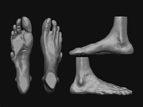 Foot 3d Sculpt Based On Carlos Huante S Artwork Zbrushcentral