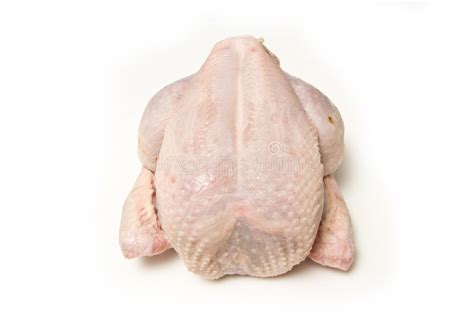 Whole uncooked chicken stock image. Image of wing ...