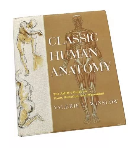 Livro Classic Human Anatomy The Artists Guide Parcelamento Sem