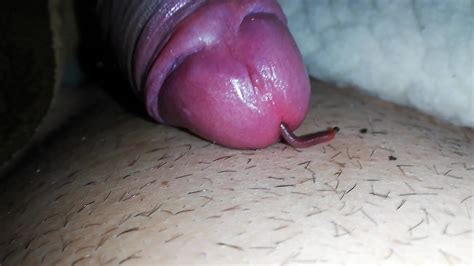 Worm In Cock Video 2 First Time