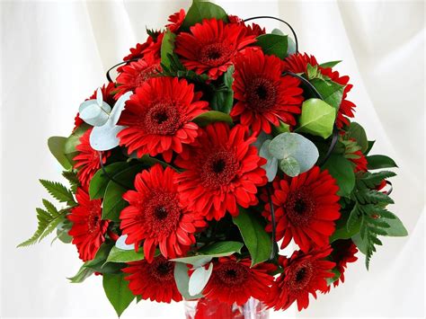Wallpaper Bouquet Of Red Gerbera Flowers 1920x1200 Hd Picture Image