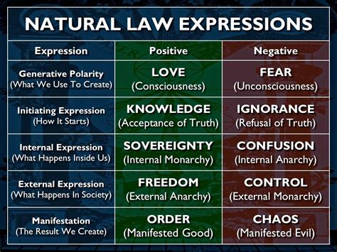 blog 8 natural law the basics vatono s creations