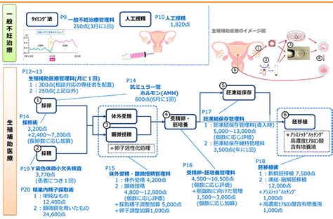 不妊治療の費用 北原レディースクリニック｜長野県松本市の不妊症、不妊治療、 婦人科