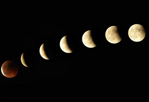 ¿cómo influye la luna en nosotros? Fase Lunar - Con Ciencia Natural | WormsArgentina.com