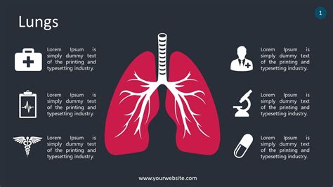 Free Lung Care Slides Powerpoint Template Designhooks