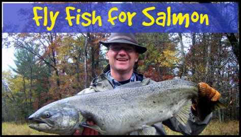 How To Fly Fish For Salmon With Video Guide Recommended