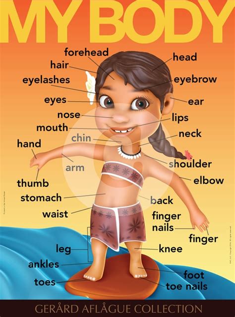 There is a wide range of normality of female body shapes. English Teach Me My Body Parts - Female - Teacher Classroom Poster