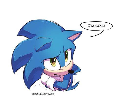 🎄메인트 계이하는 이사𝗜𝘀𝗮🎄 On Twitter Sonic Sonic Fan Characters Sonic Funny