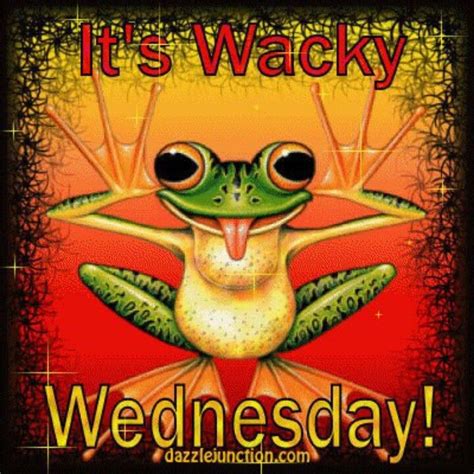 Wednesday Wednesday Hump Day Wednesday Memes Wednesday Greetings