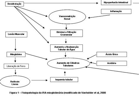 Rabdomiólise Aspectos Históricoscausasfisiopatologiadiagnóstico E