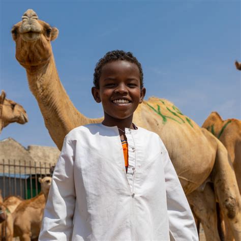 Somali Boy In The Camel Market Woqooyi Galbeed Region Hargeisa Somaliland License Download