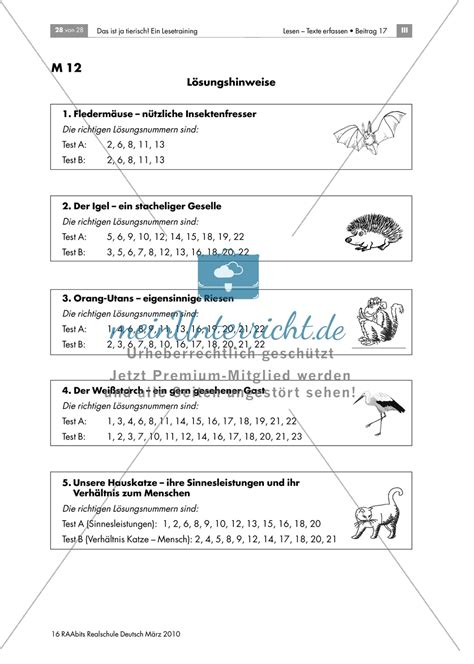 Leseübungen anhand von Sachtexten über Tiere: Thema Orang-Utans