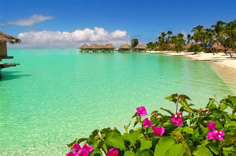 Download Wallpaper For 2560x1600 Resolution Bora Bora Beach Water
