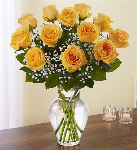 Rose Elegance™ Premium Long Stem Yellow Roses 1800flowers 90021