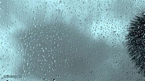 Best 3840x2400 rain wallpaper, 4k ultra hd 16:10 desktop background for any computer, laptop, tablet and phone. 4K Rain Sounds with Classical Music | Rainfall and Music ...