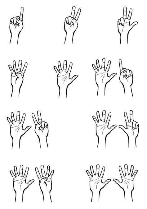 Finger Counting Illustrations