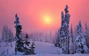 Winter, Snow, Trees, Forest, Sun, Sunset, Sky, Landscape