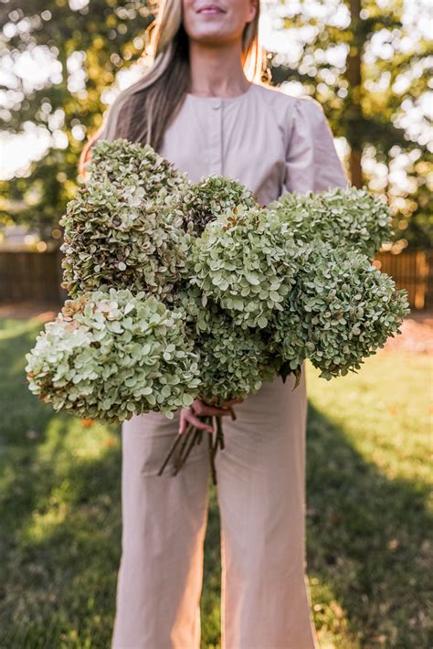 How I Dry Our Hydrangeas Vases You Wont Regret Buying