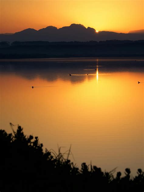 Lake During Golden Sunset · Free Stock Photo