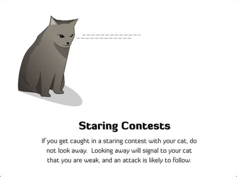 Vomiting food after it's been in the stomach can indicate poisoning, blockage. Ways to Tell Whether Your Cat Is Likely to Kill You in ...
