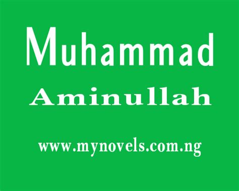 Muhammad Aminullah Hausa Novels Complete