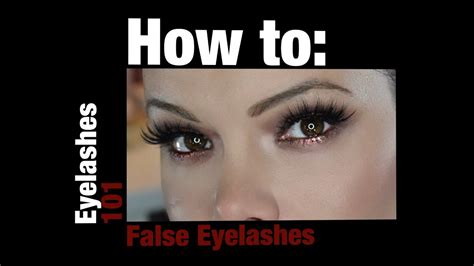 Eyelashes 101 A Comprehensive Guide To Falsies YouTube