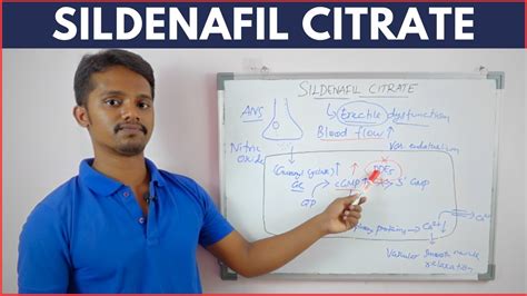 Sildenafil Citrate Viagra For Erectile Dysfunction Mechanism Of Action Youtube