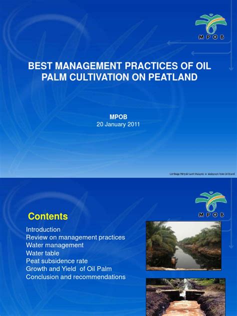 Jul 16, 2021 · i3investor offers stock market blogs, news, live quotes, price charts, price target, stock forum, watchlist, portfolio tools and more. 3- MPOB's Guidelines for Oil Palm on Peat (Tarmizi) | Peat ...