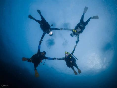 Experience an Exciting Full-Day Fun Dive in Menjangan with Our PADI