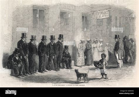 Slaves For Sale Are Inspected In New Orleans Hi Res Stock Photography