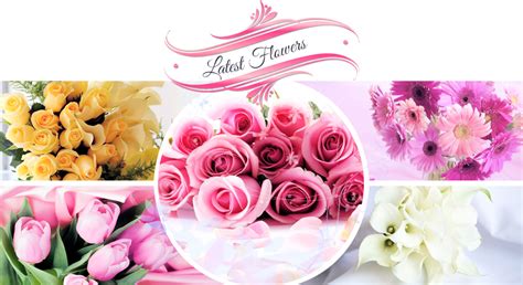 From frankfurt to berlin, we'll help you make loved ones in germany smile with truly original flowers, plants & gift baskets! Send flowers to Germany on laudable Christmas occasion